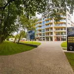 Apartament Diune Sulkowskiego 4A